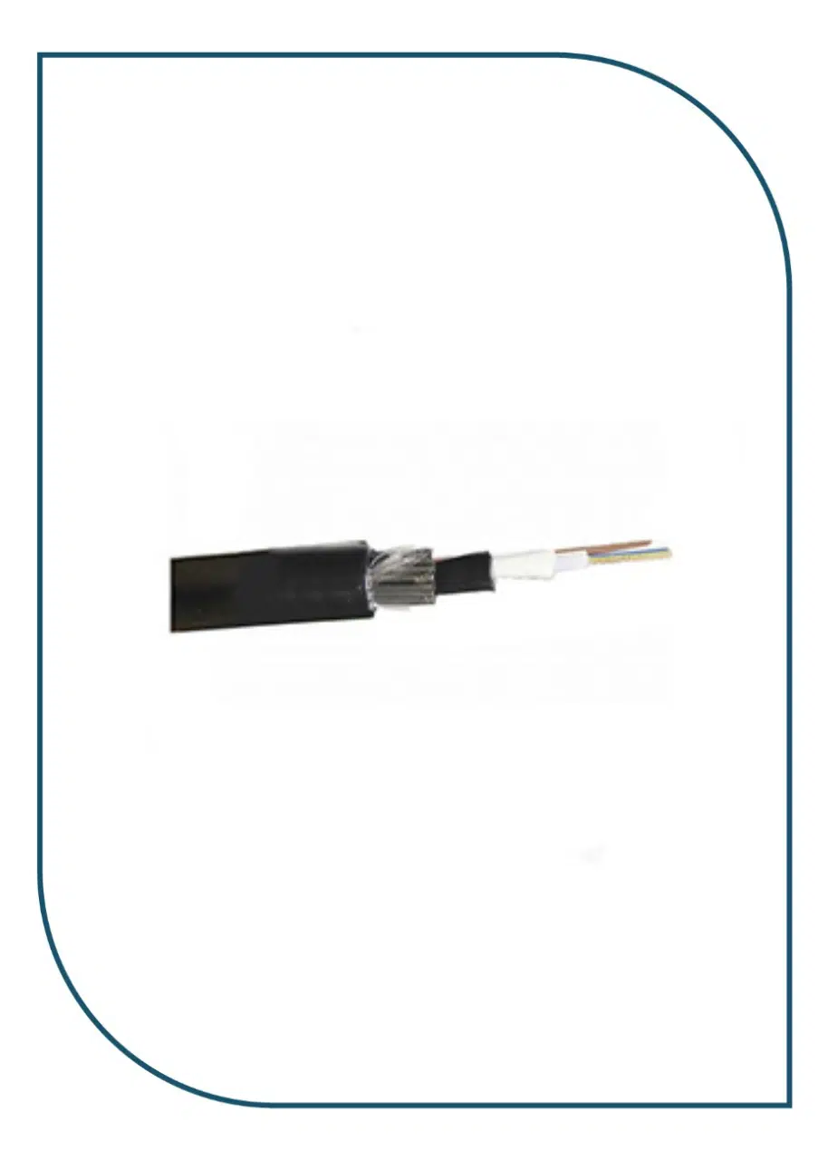ProLink (PL-FOC12D-OM3) Double ARMOR CENTRAL LOOSE TUBE CABLE 12-CORE MULTI MODE 50/125 PER METER OM3 OD:10MM PL-FOC12D-OM3