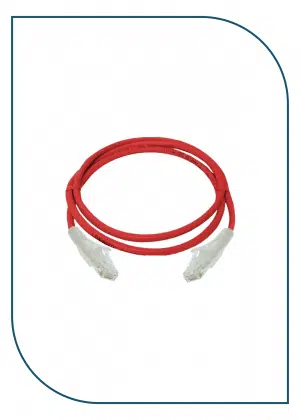 NCB- C6UREDR10-025