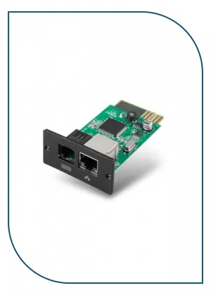 Schneider Easy Ups Online SNMP Card (APVS9601) APVS9601