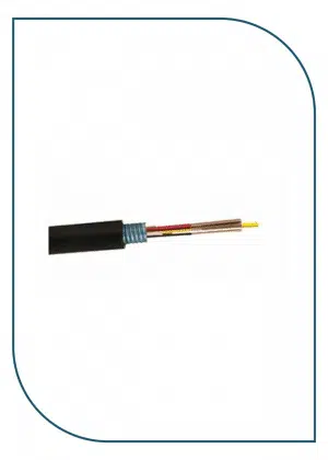 PL-FOC12D-OM4