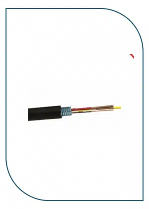 PL-FOC12S-OM4 ProLink OM4 Single Armor Central Loose Tube Cable 12-Core Multi Mode 50/125 Per Meter OD:10MM PL-FOC12S-OM4