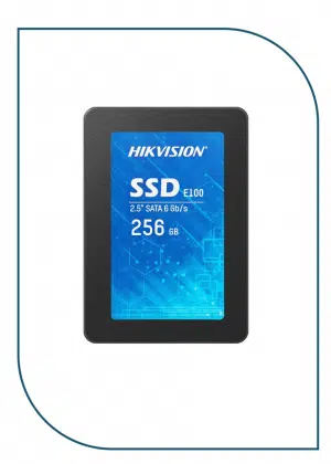 HikVision E100 256GB