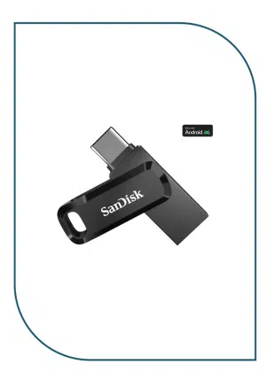 SanDisk 64GB USB _Type-C